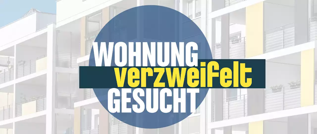 Neues RTL-Format: Ex-'Bachelor' hilft bei der Wohnungssuche - DWDL.de