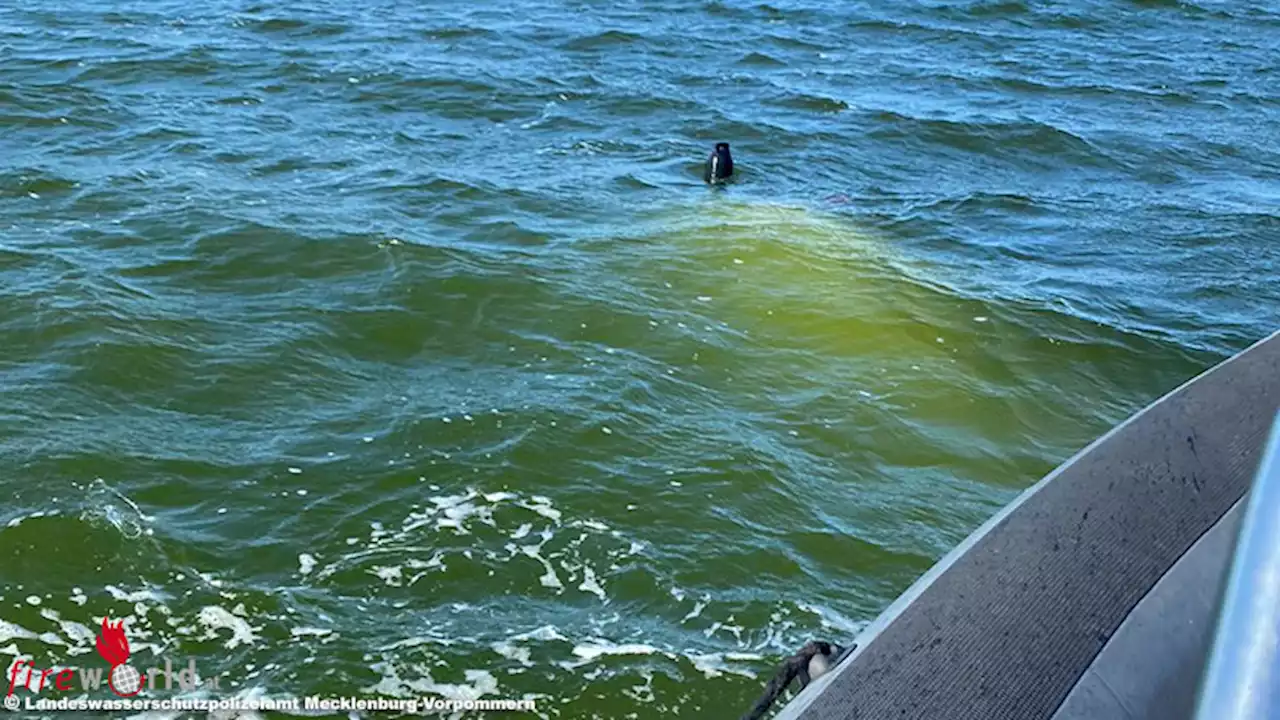 D: Gekenterte Jolle mit zwei Personen im Wasser in Wiek