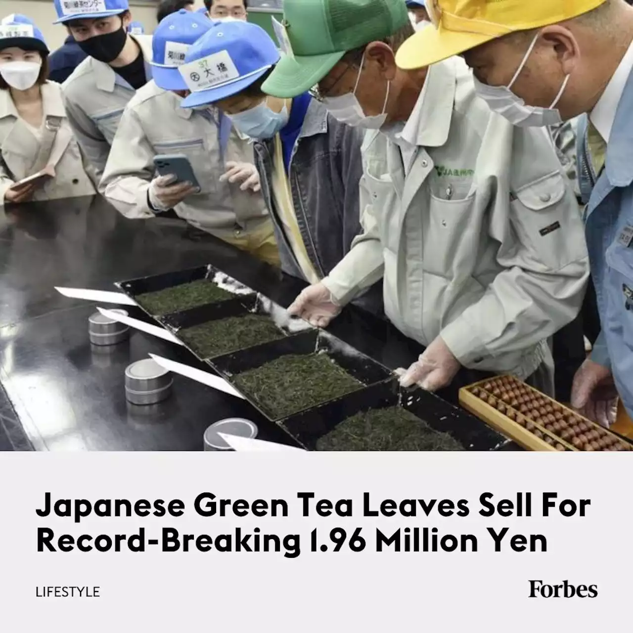 Japanese Green Tea Leaves Sell For Record-Breaking 1.96 Million Yen