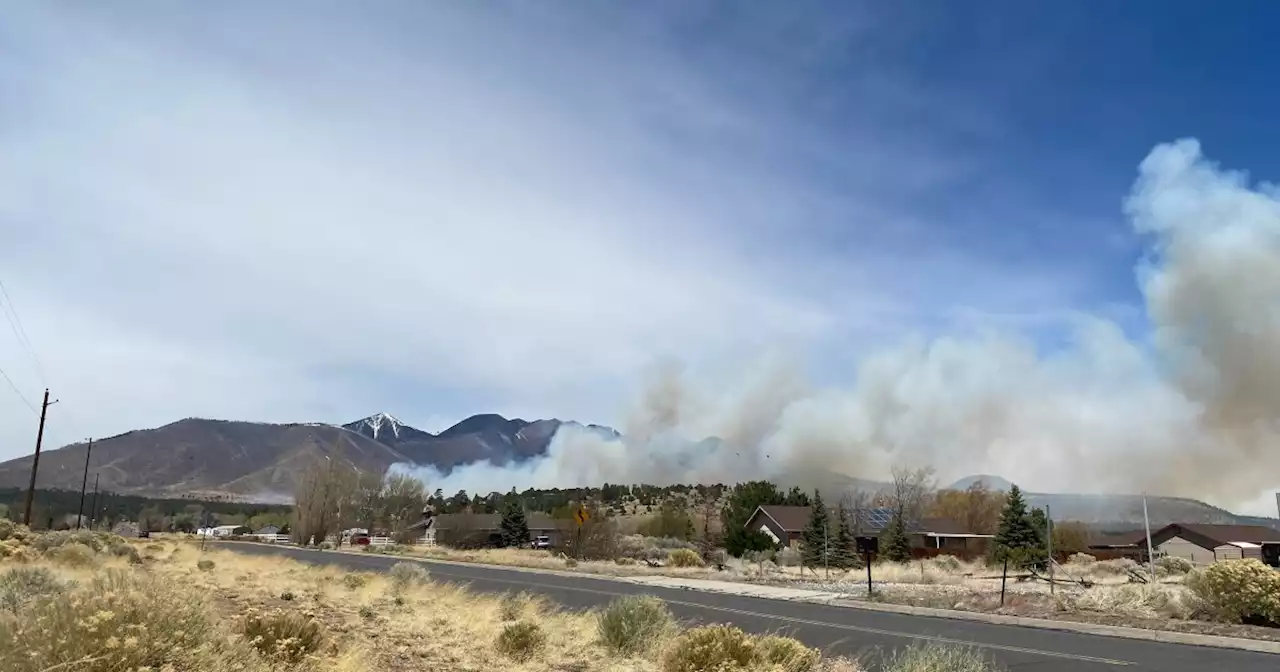 Wildfire burning in Arizona forces evacuations