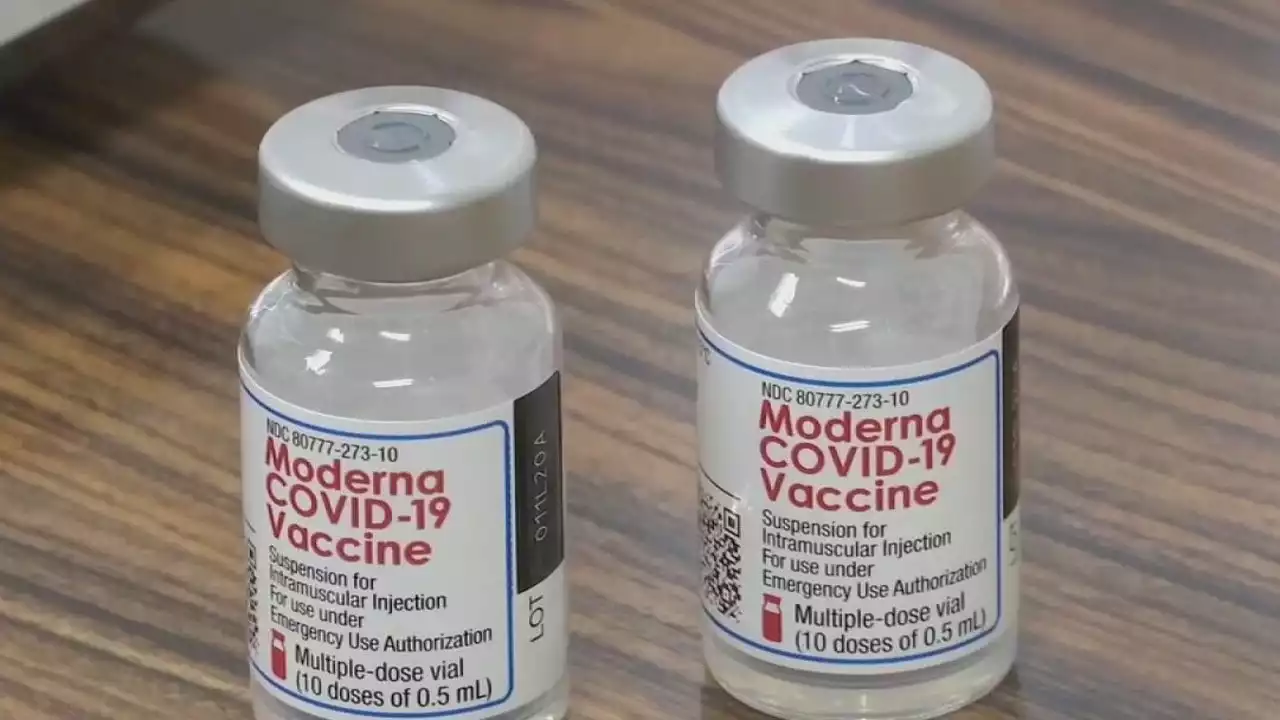 COVID vaccine: Moderna looks to update shots for fall