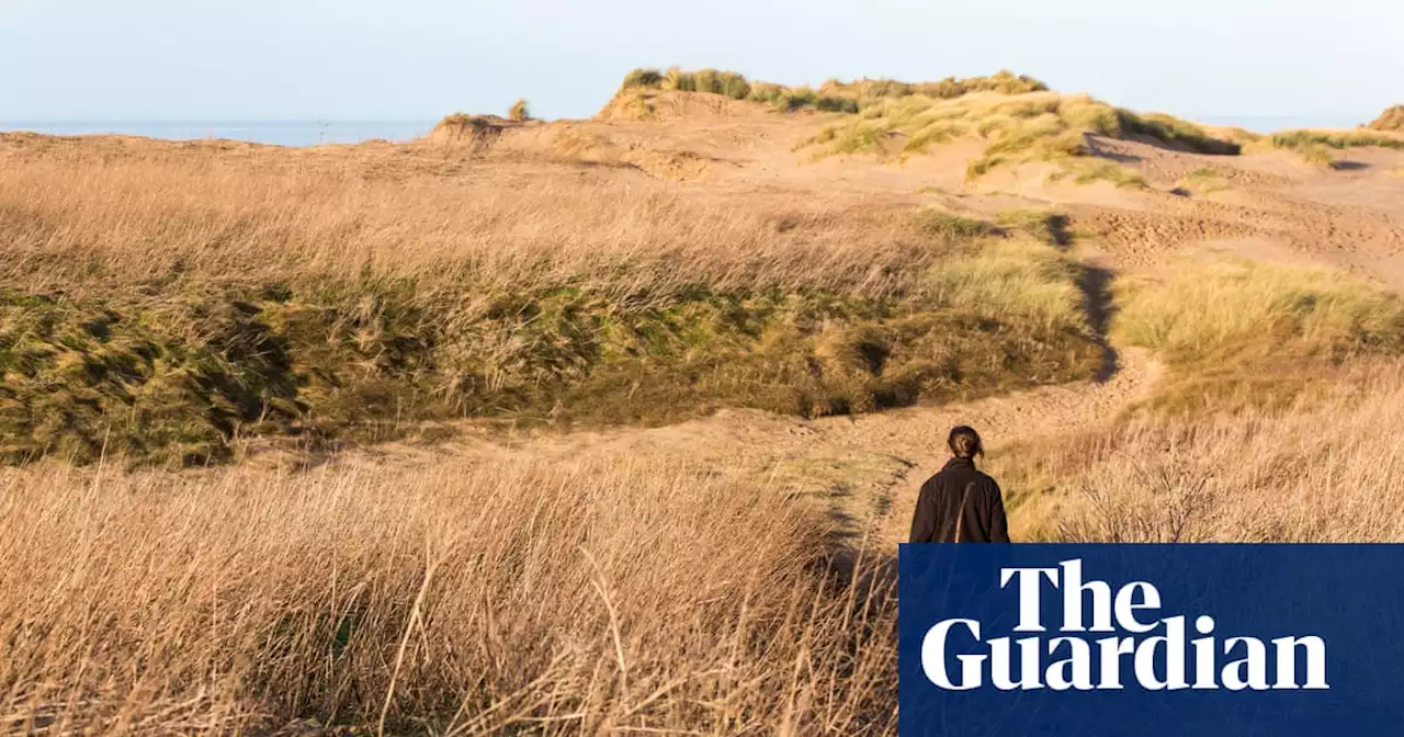 Plantwatch: Dunes – the battle to save the UK’s sandscapes