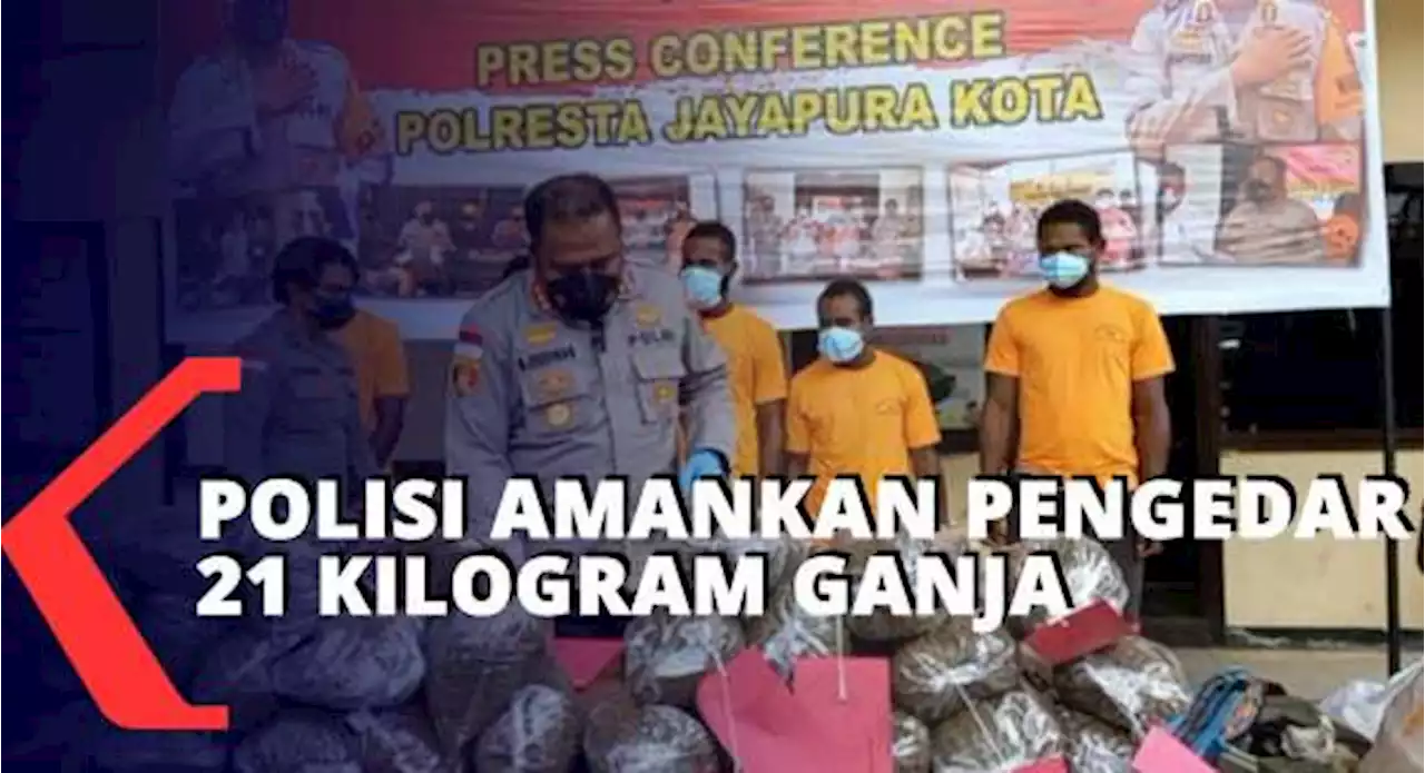 8 WNA Asal PNG Ditangkap Polisi Saat Bawa 21 Kilogram Ganja Masuk Jayapura