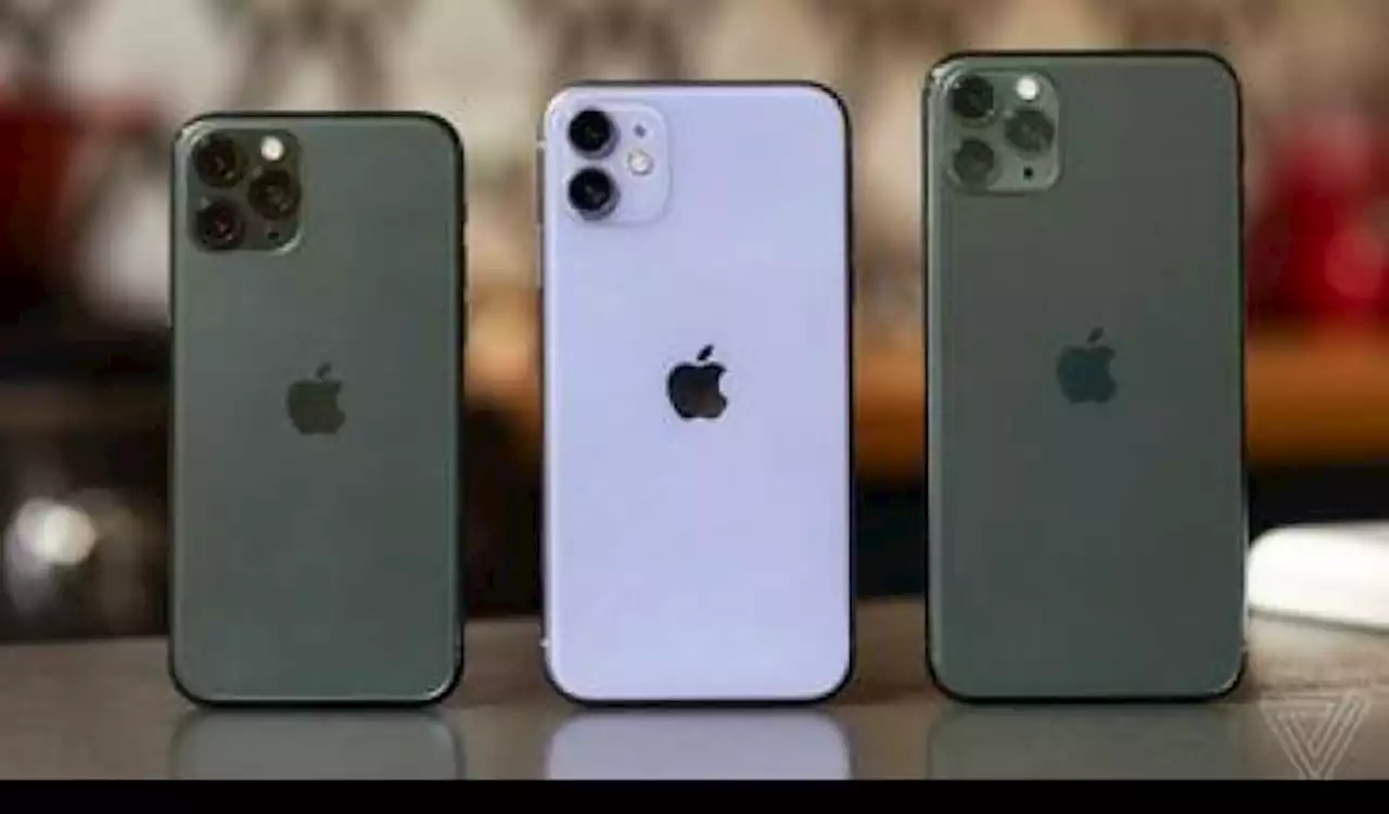 IPhone 11 Resmi Pasar Indonesia Turun Harga hingga Rp2 Juta