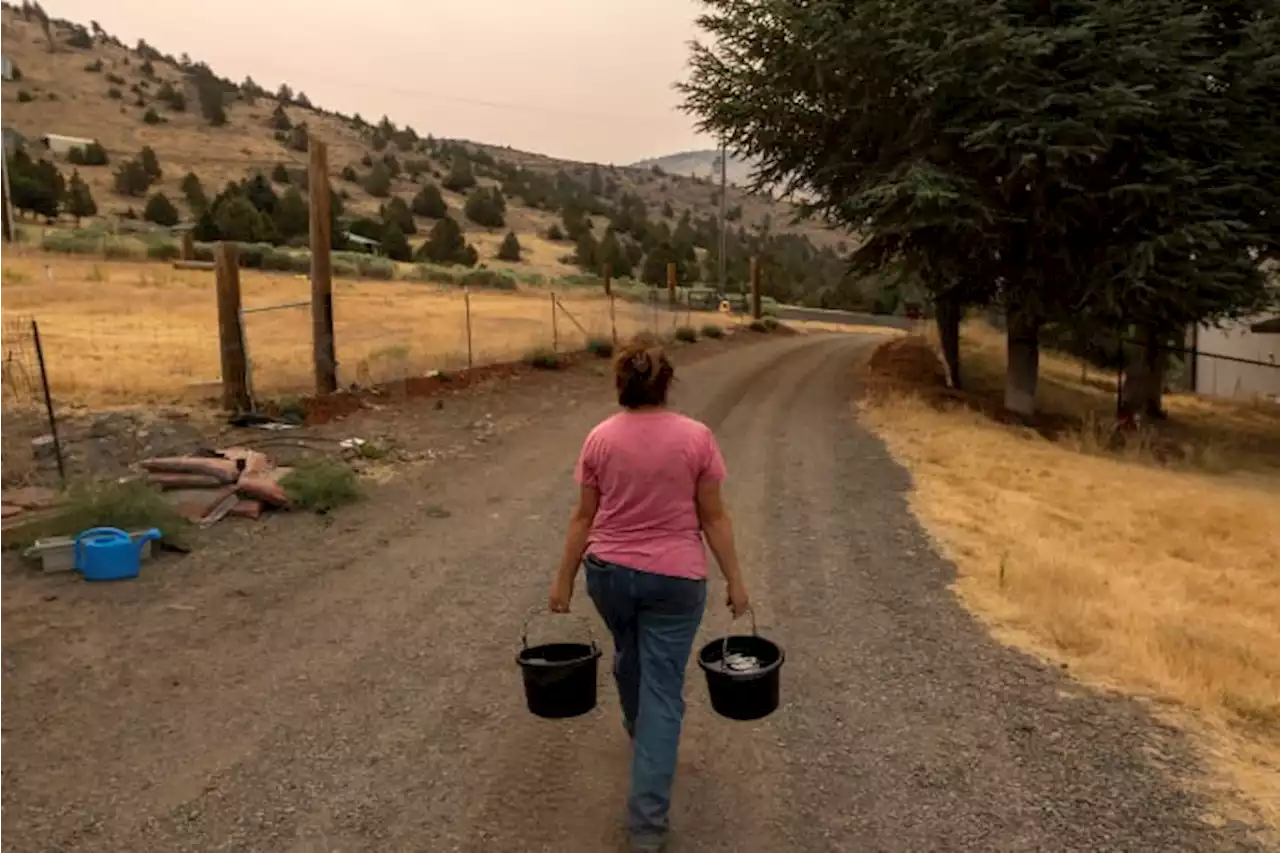 Oregon tribe opposes water release for farmers