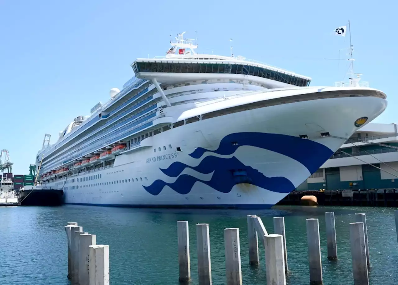 Princess Cruises ship docks in LA as passengers test positive for COVID-19