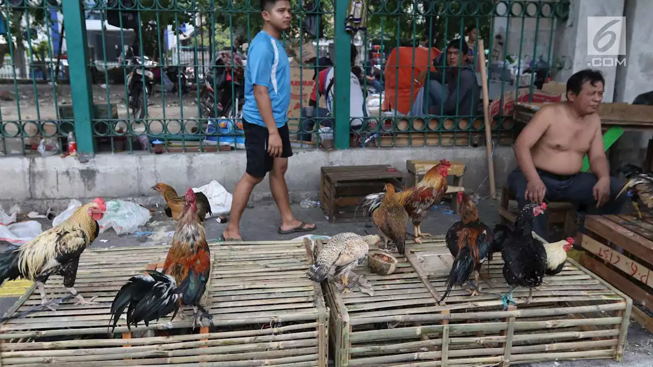 Dua Pekan Jelang Idulfitri, Harga Ayam Potong dan Daging Sapi di Bekasi Merangkak Naik