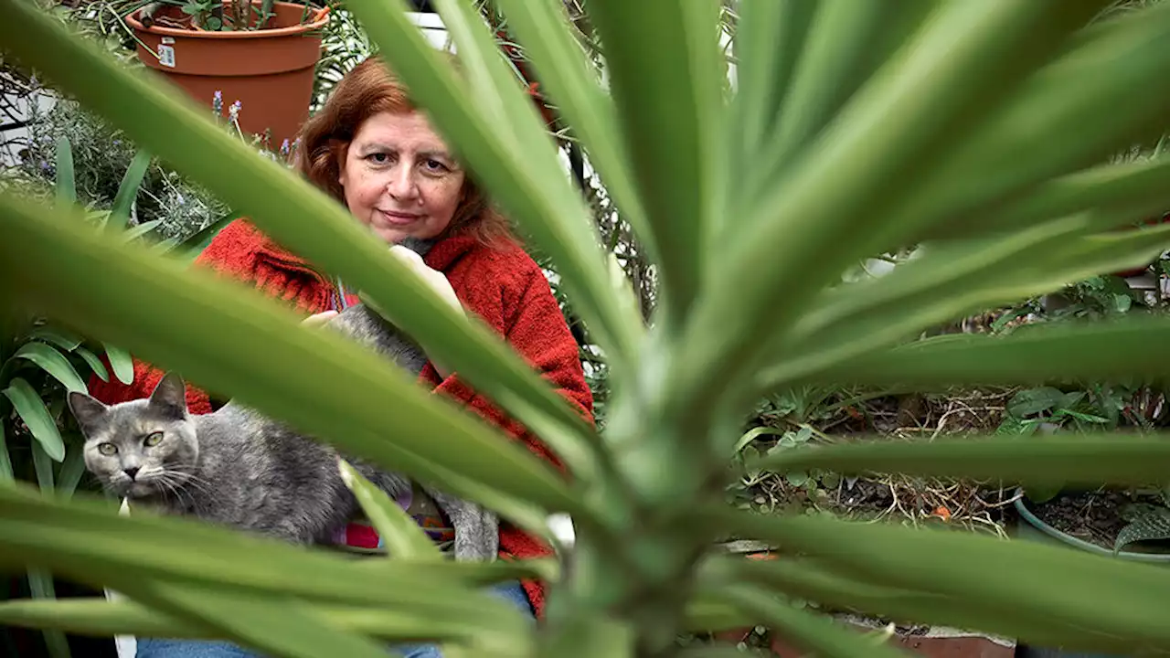 Una poeta con el poder de escribir el futuro | Beatriz Vignoli presenta Viernes, poesía reunida (1979-2021), en CABA