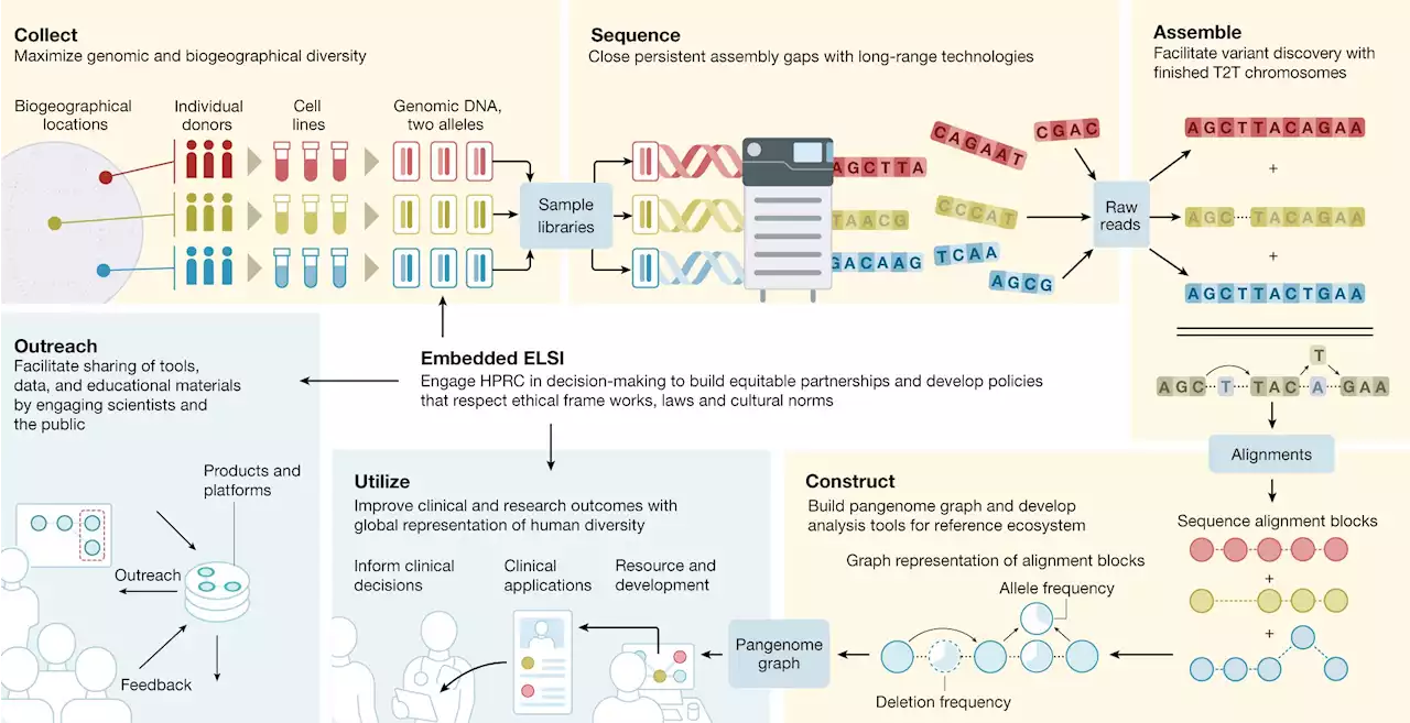 Scientists set out to map the world's genomic diversity