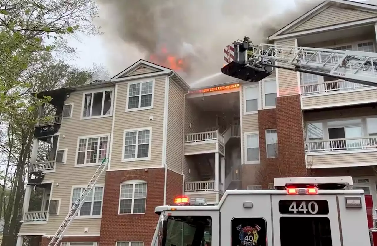 Dozens displaced after condo fire in Fairfax County