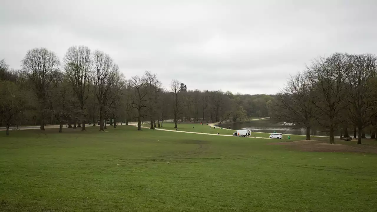 Étude de mobilité au Bois de la Cambre: un panel citoyen sera mis en place