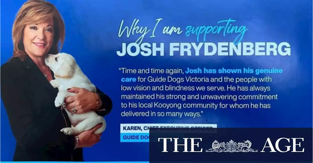 Guide dogs charity to investigate CEO’s public pitch for Josh Frydenberg