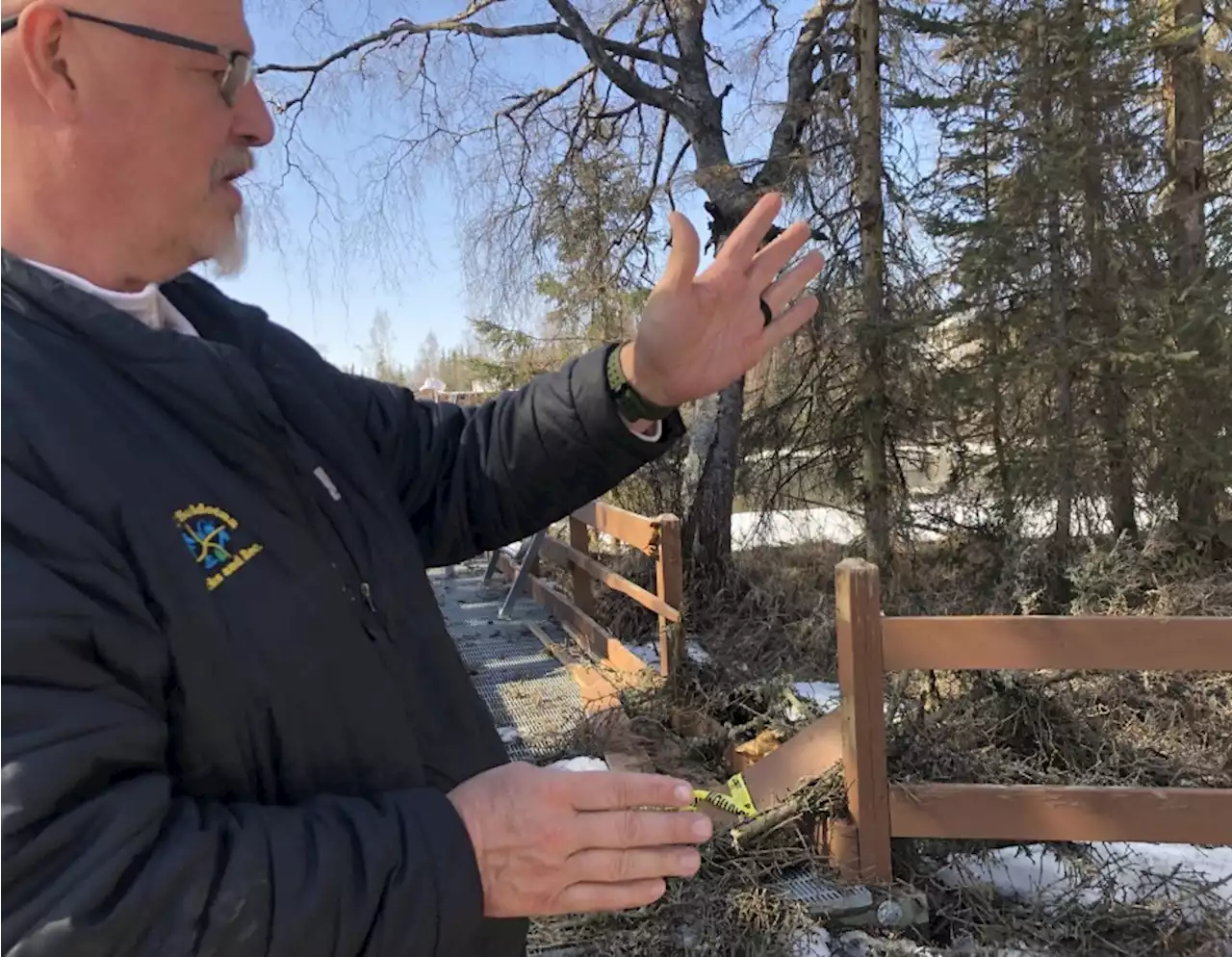 Beetle-killed trees raise safety concerns at Kenai Peninsula campgrounds - Alaska Public Media