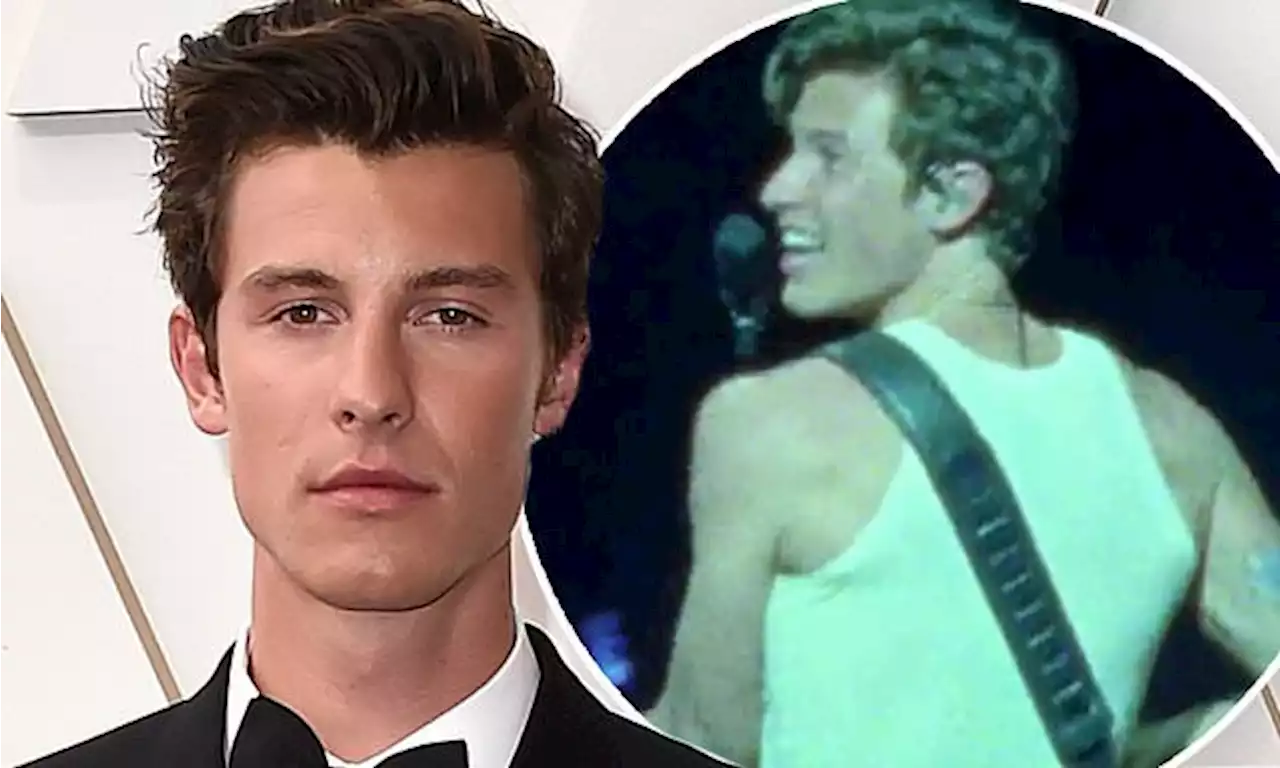 Shawn Mendes reassures fans he's 'okay' despite feeling 'overwhelmed'