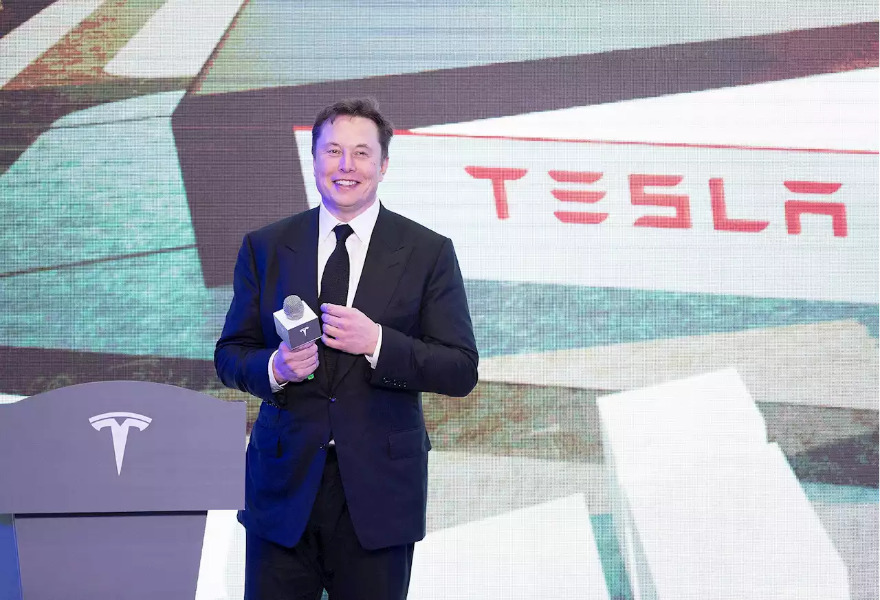 Elon Musk eyes 2024 for mass-produced Tesla robotaxi | Digital Trends