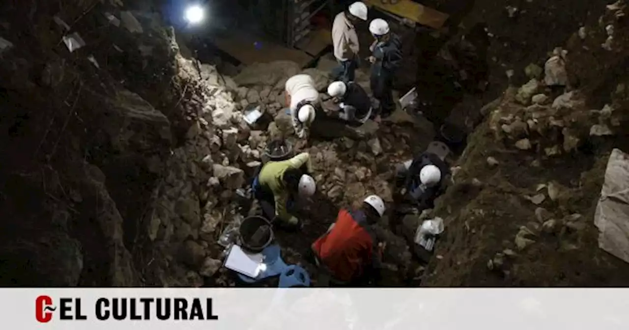 Los Pobladores De Atapuerca Comieron Carne De Perro Desde El Neolítico