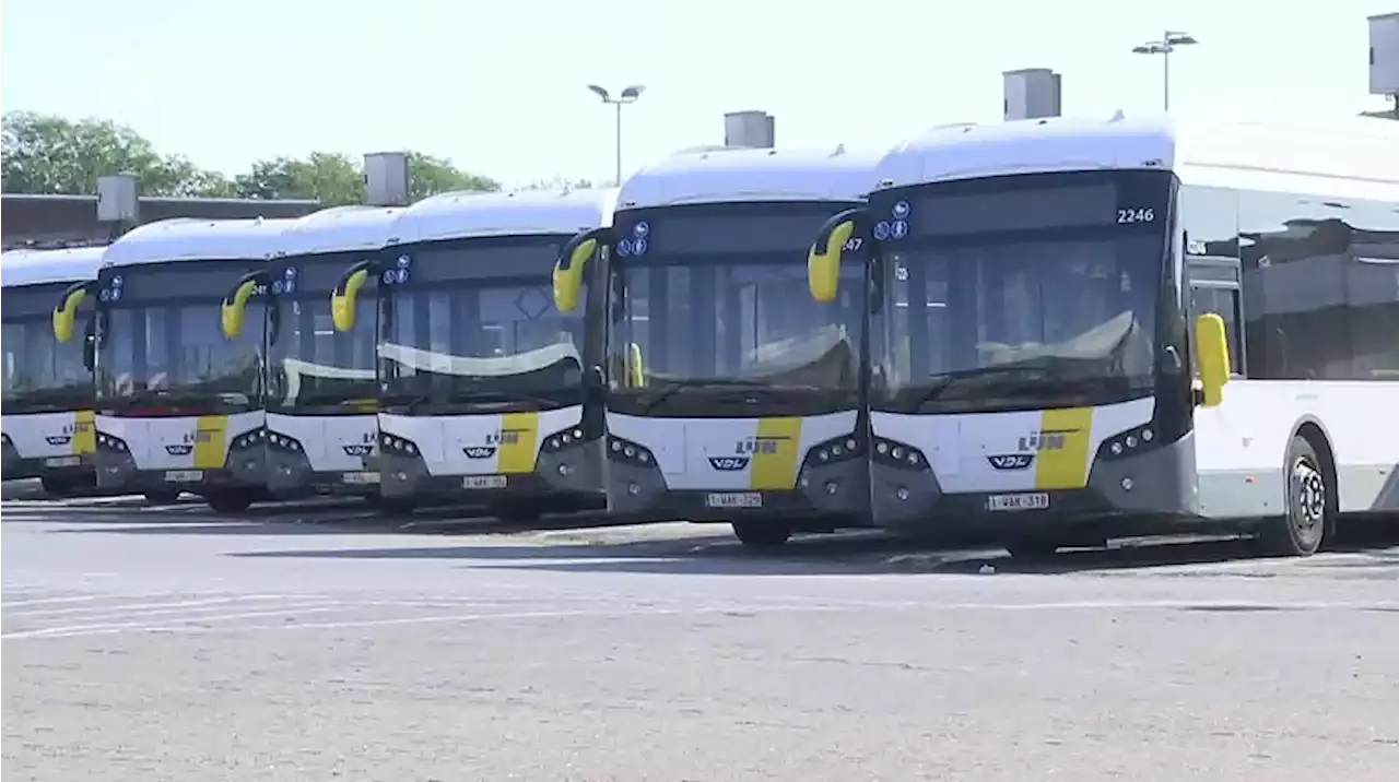 Vakbondsactie op vrijdag: De Lijn verwachten hinder, ook dienstverlening stad Antwerpen verstoord