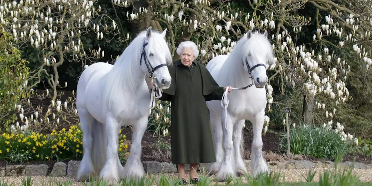 Queen Elizabeth's New Birthday Portrait Honors Prince Philip and Her Equestrian Background