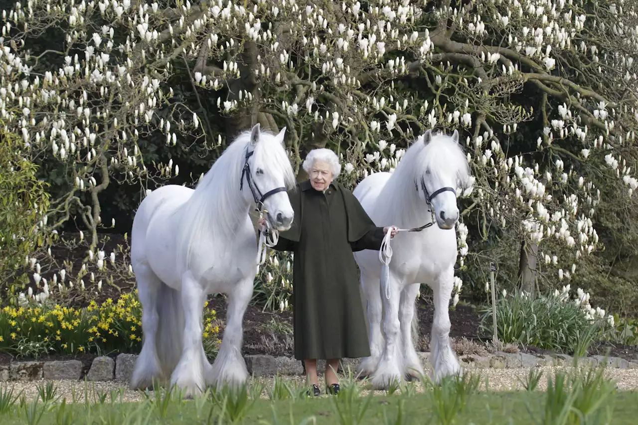 Queen’s Love Of Horses Captured In Photo Marking 96th Birthday