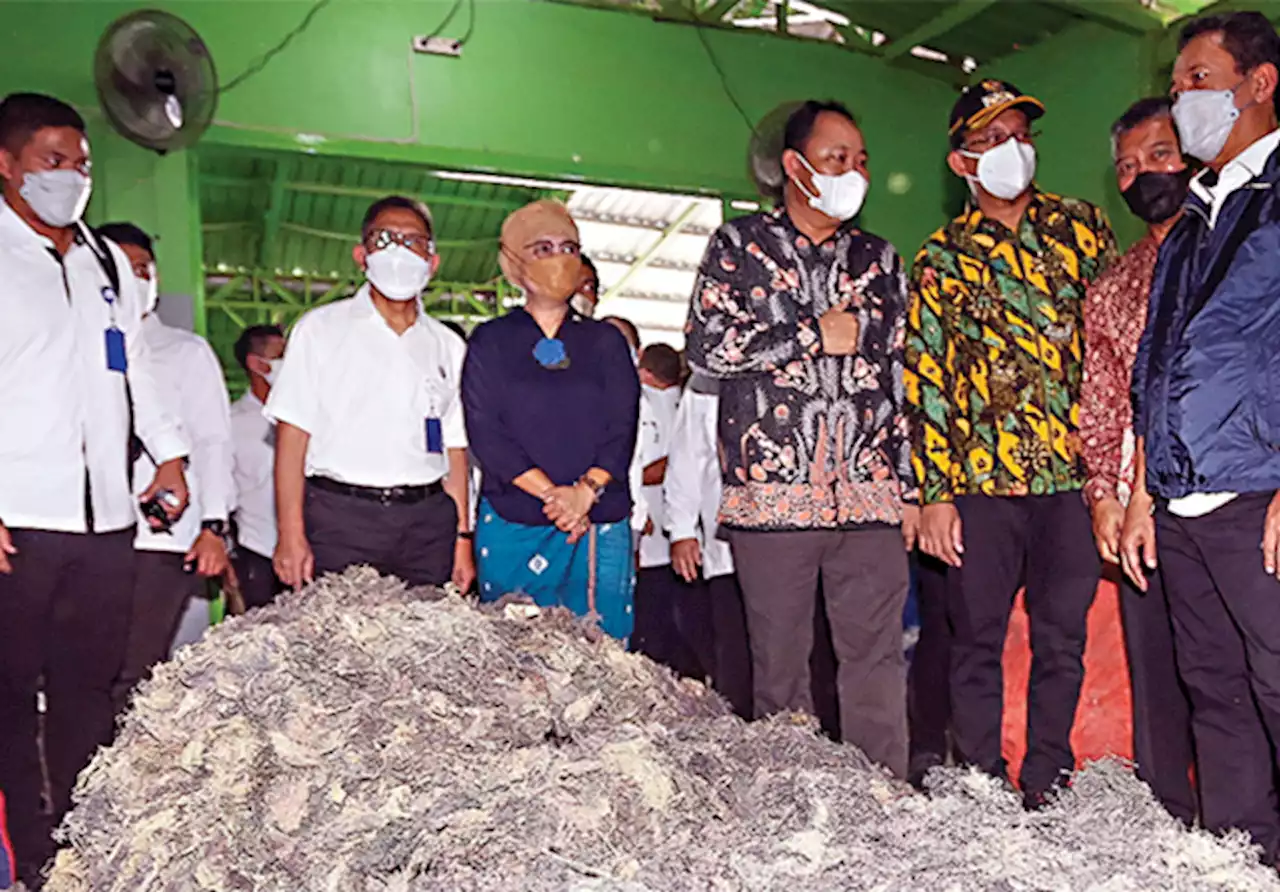 Desa di Sidoarjo Ini Dicanangkan sebagai Kampung Budi Daya Rumput Laut