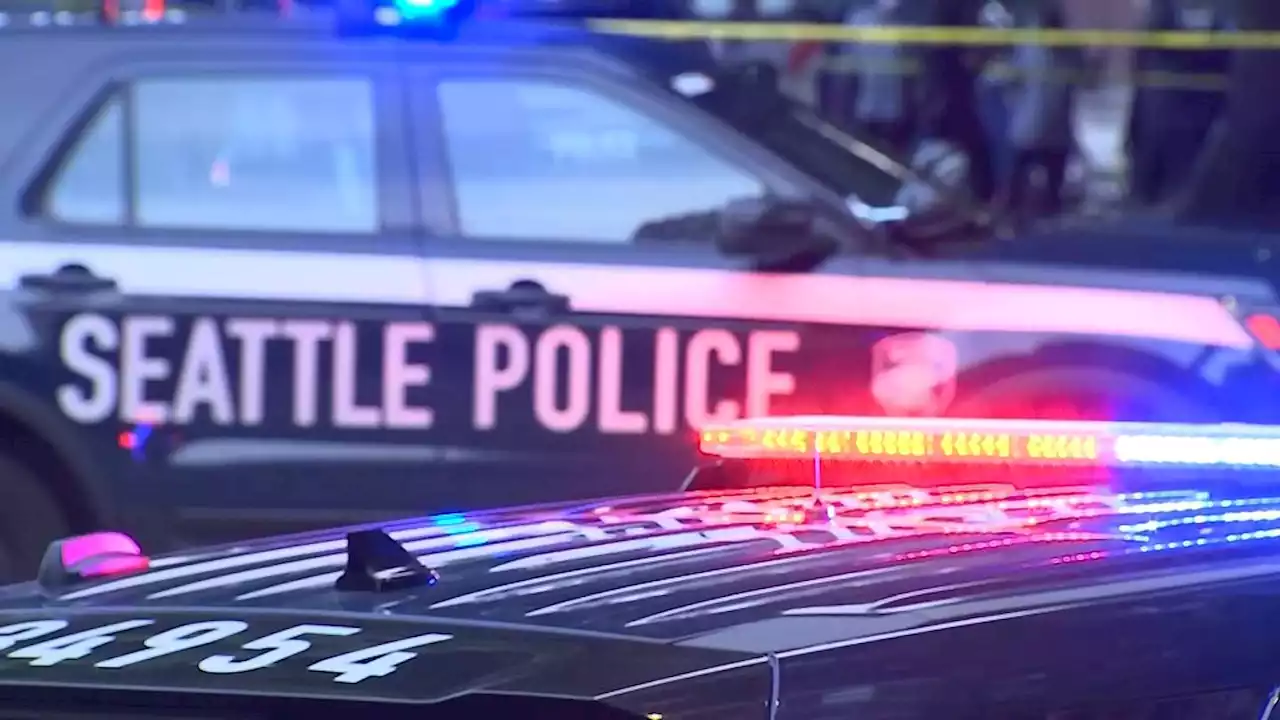 Man arrested in Seattle after throwing rocks and exposing himself