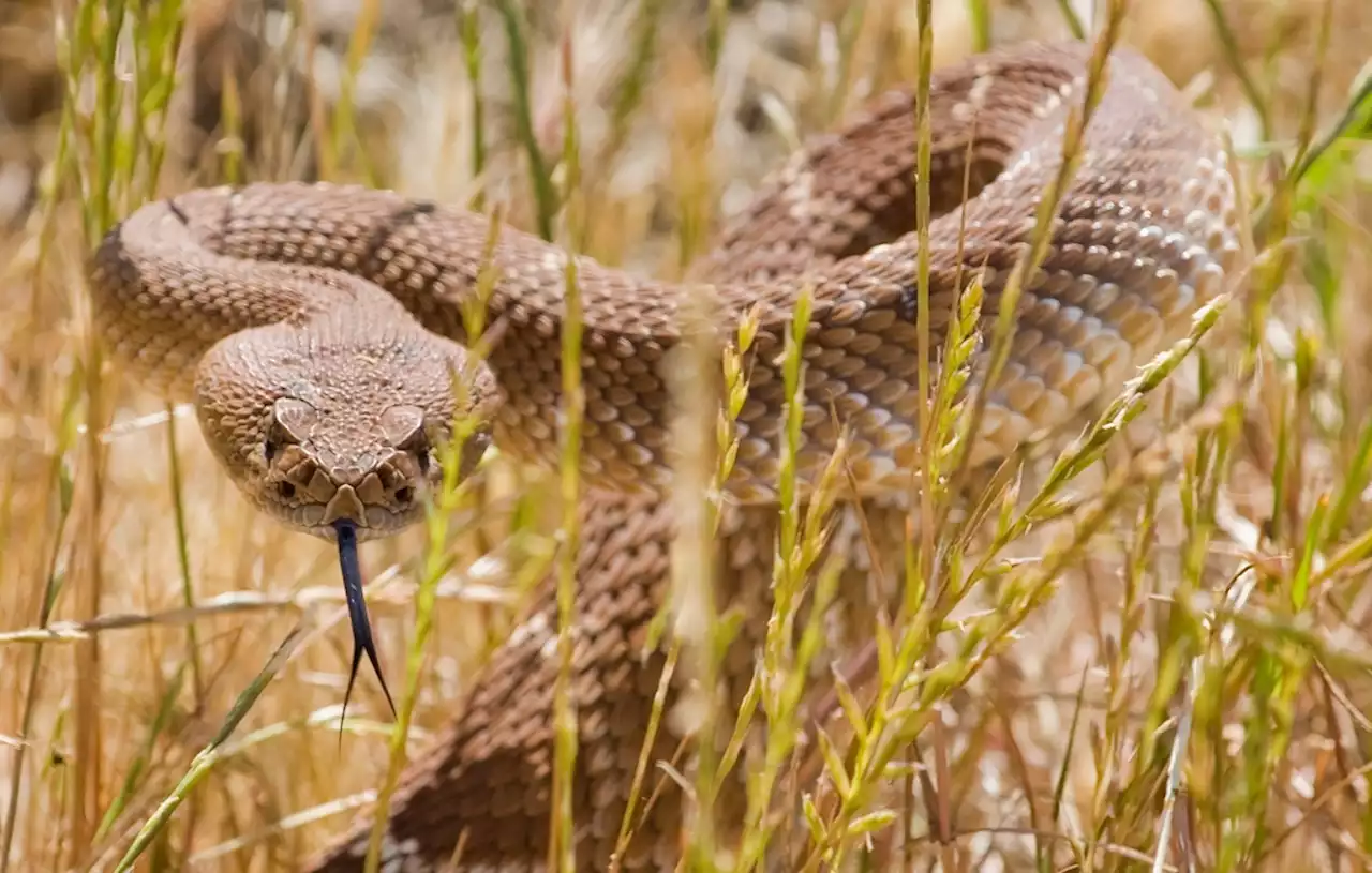 Planning a springtime hike in Southern California? Here are some hazards to avoid