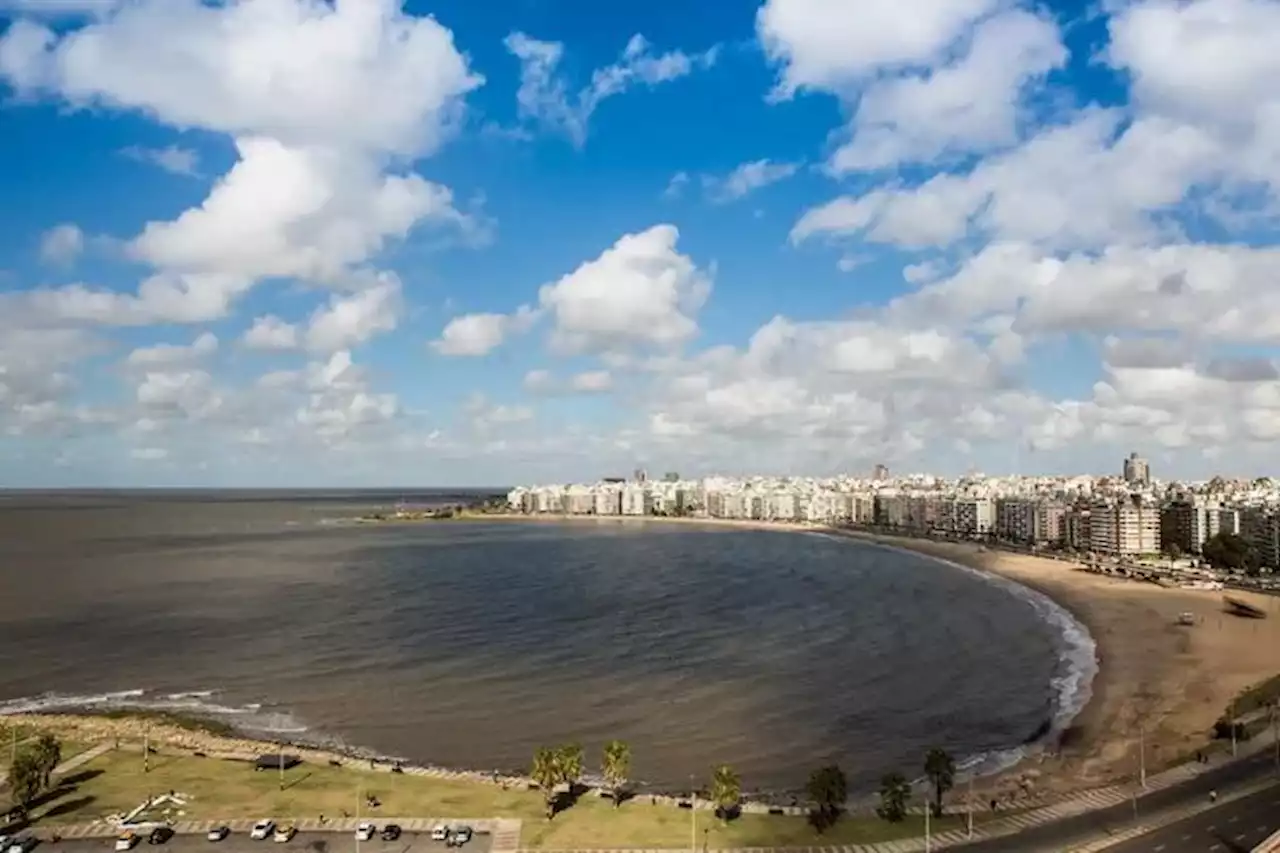 Macabro hallazgo en el Río de la Plata: encontraron el torso de una persona en la rambla de Montevideo