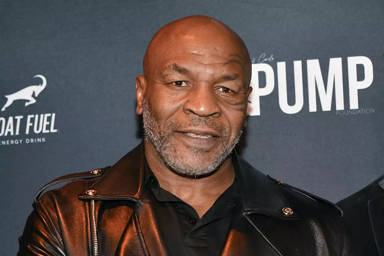 Mike Tyson bloodies fellow passenger on flight with repeated punches to the head