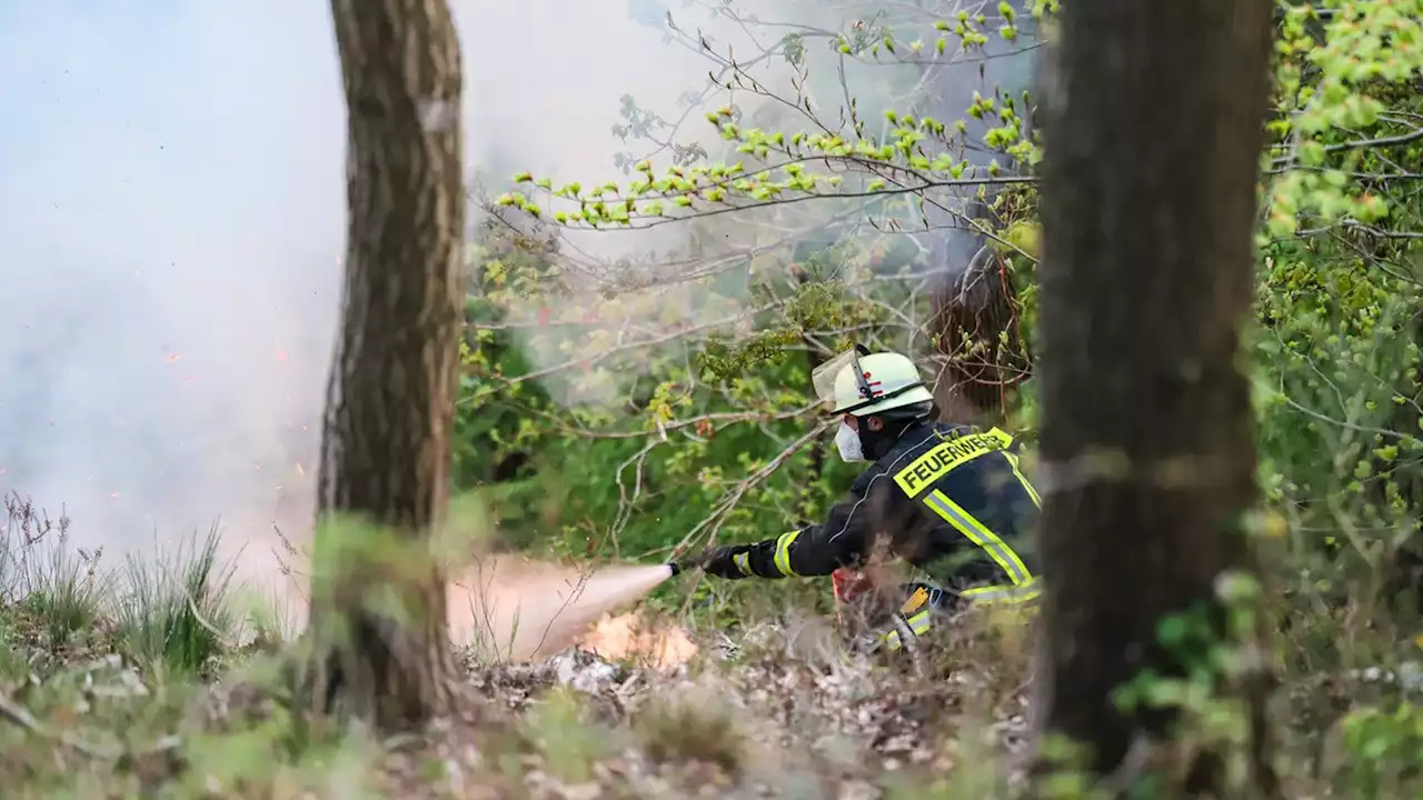 Waldbrand im Dortmunder Süden