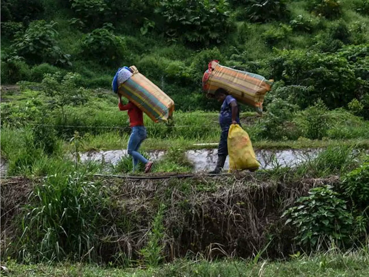 Colombia, país de desplazados: la realidad de Magdalena, Arauca, Chocó y Nariño