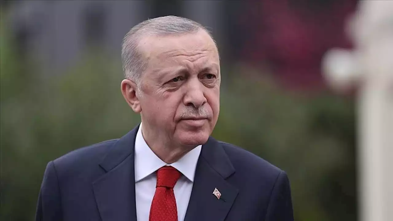 أردوغان: عملية 'المخلب-القفل' وضعت 'بي كا كا' في صراع مع الموت