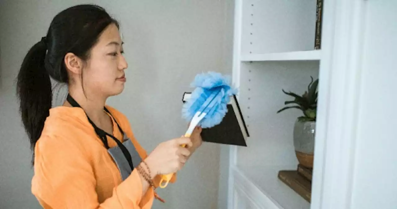 Can maid insurance help you save money in the long run?