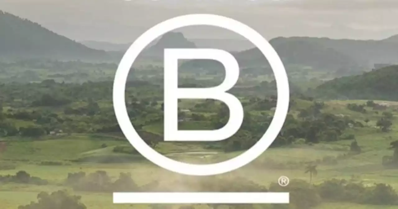 Do you buy clothes from sustainable brands? This is how you can be sure