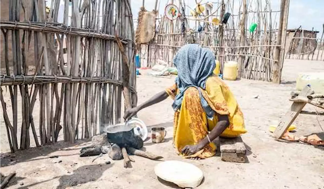 Kelaparan di Tanduk Afrika Bisa Dialami 20 Juta Orang pada Akhir 2022