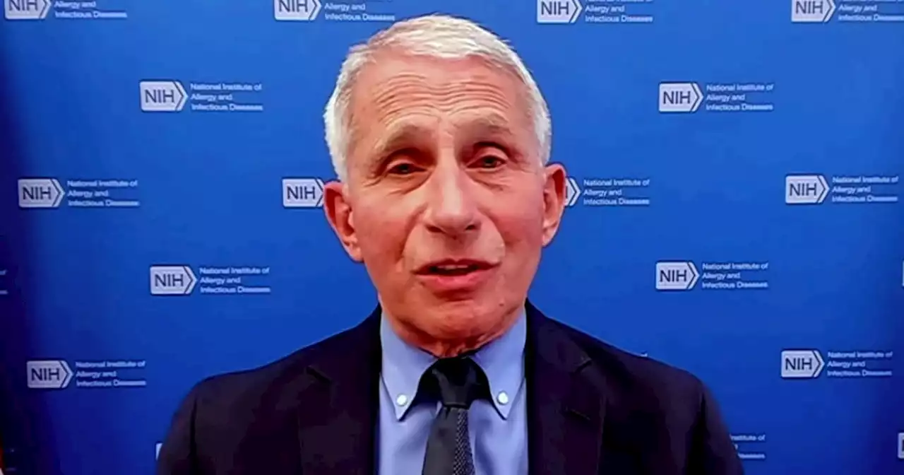 Fauci fears judge's ruling on travel mask mandate may set 'dangerous precedent'