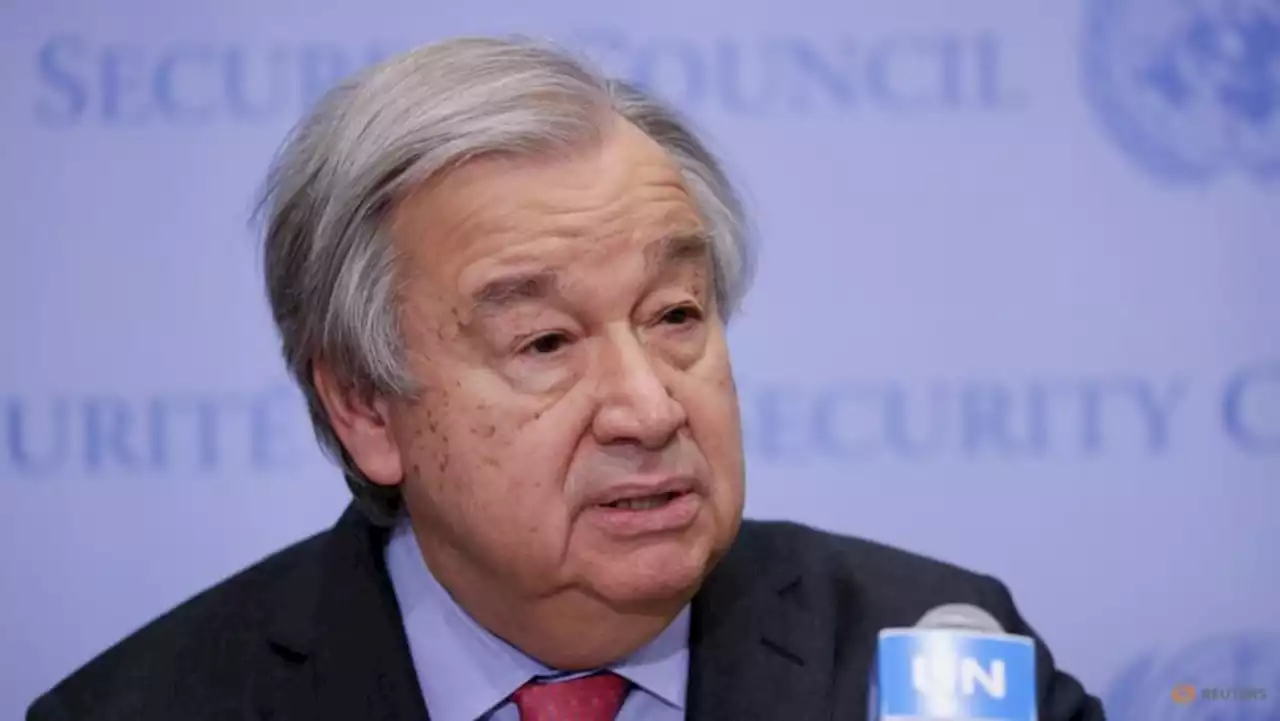 UN chief to visit Moscow on Apr 26, will meet Putin