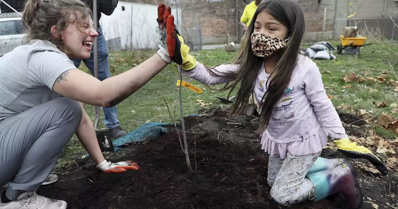 With Arbor Day on the way, neighbors plant 20 fruit and shade trees in a Southeast Side community garden