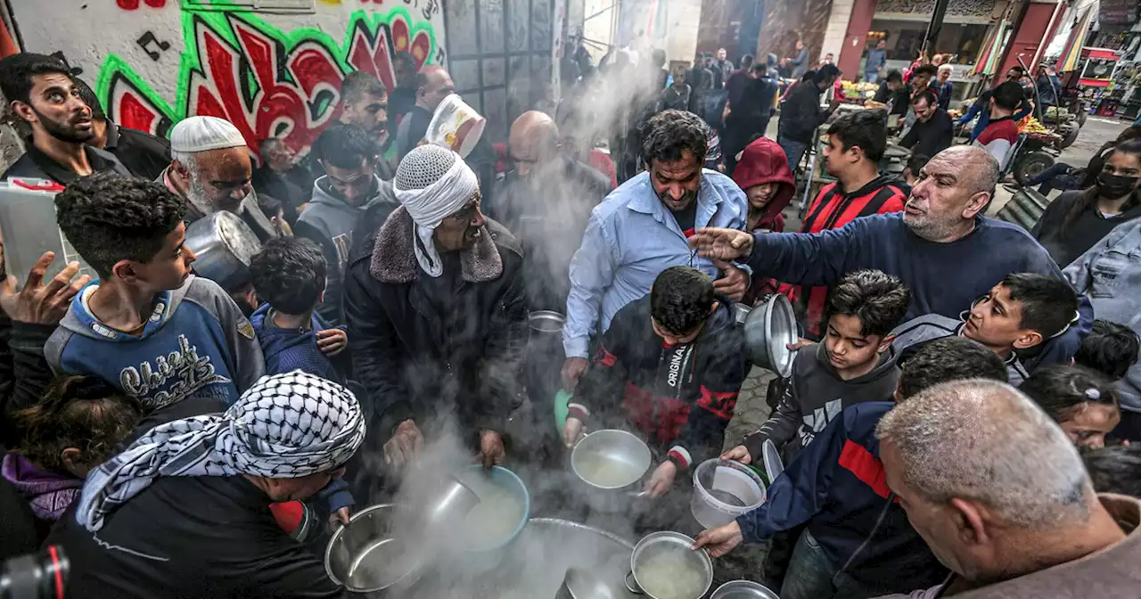 Opinion | Palestine Needs Immediate Attention to Stave off Major Food Crisis