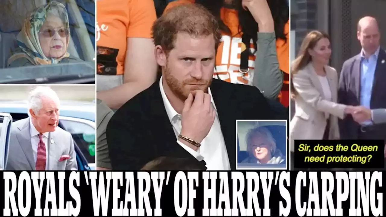 Royal family put Prince Harry's comments aside for Queen's birthday