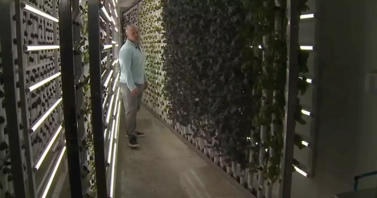 Colorado-made container farms enable the world to grow fresh produce