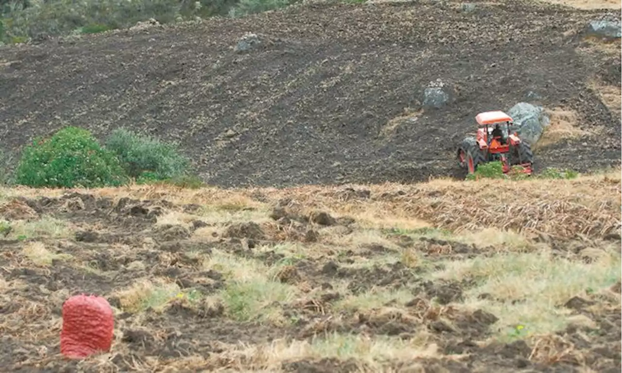 El dilema de la protección del páramo Cruz Verde - Sumapaz en Une, Cundinamarca