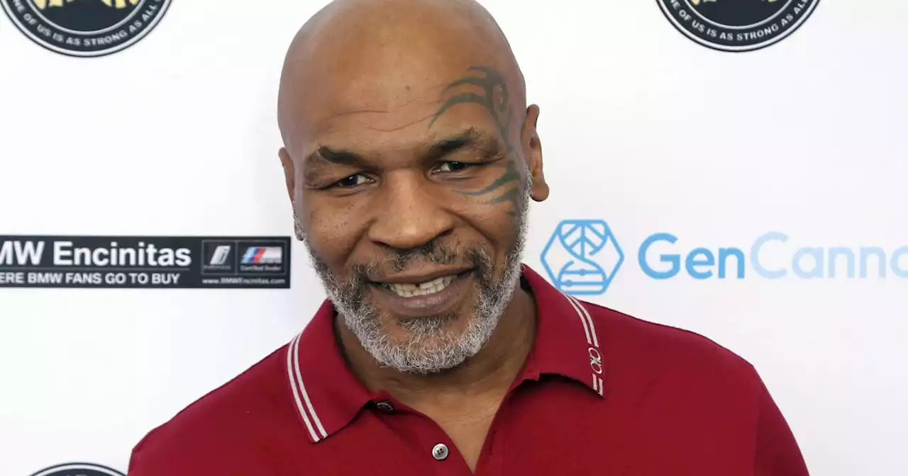 Video shows Mike Tyson punching airline passenger on plane at San Francisco International Airport