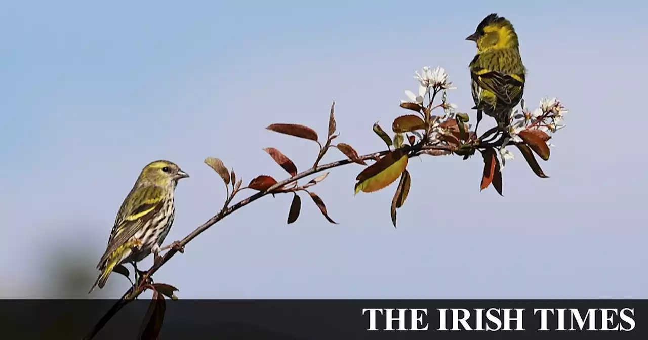 Images of the Day