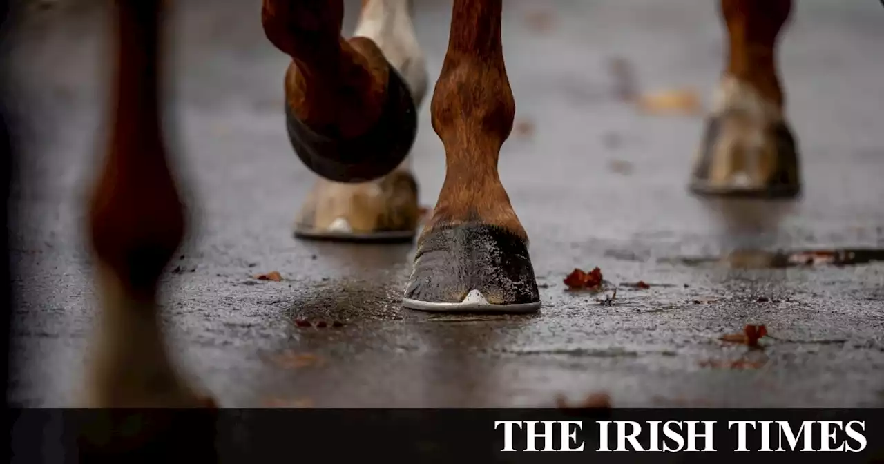 Independent inquiry into anti-doping in Irish racing supports IHRB findings
