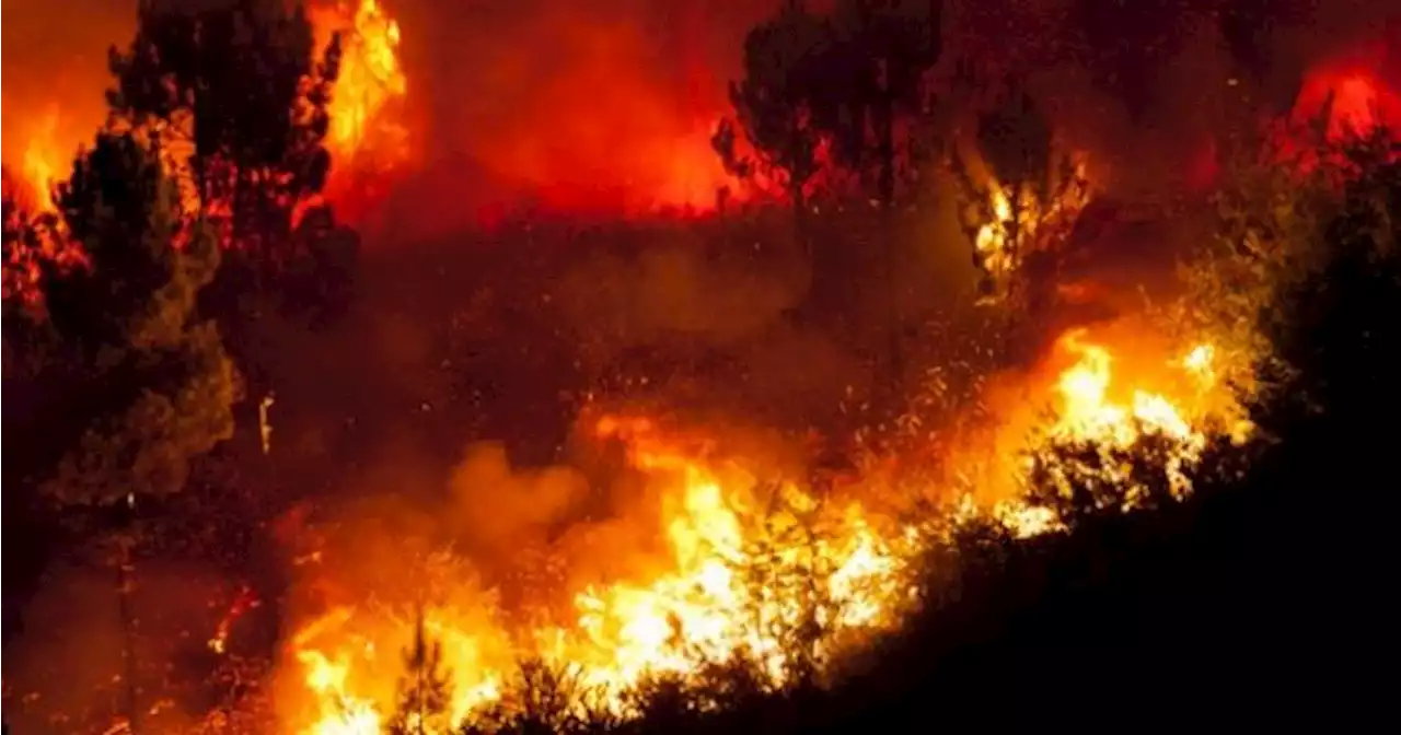 Orange-level high fire warning in place in Ireland this weekend | JOE.ie