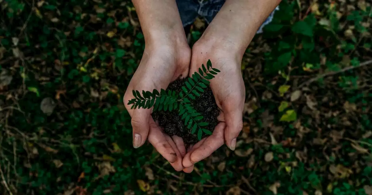 Earth Day In LA: Here Are A Few Ways To Show The Environment Some Love