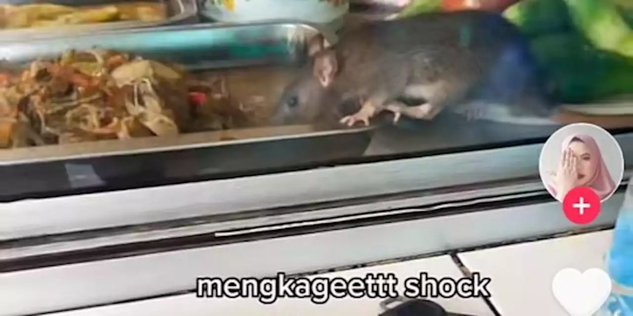 Viral Ibu Hamil Makan di Warteg di Depannya Ada Tikus, Begini Reaksinya | merdeka.com