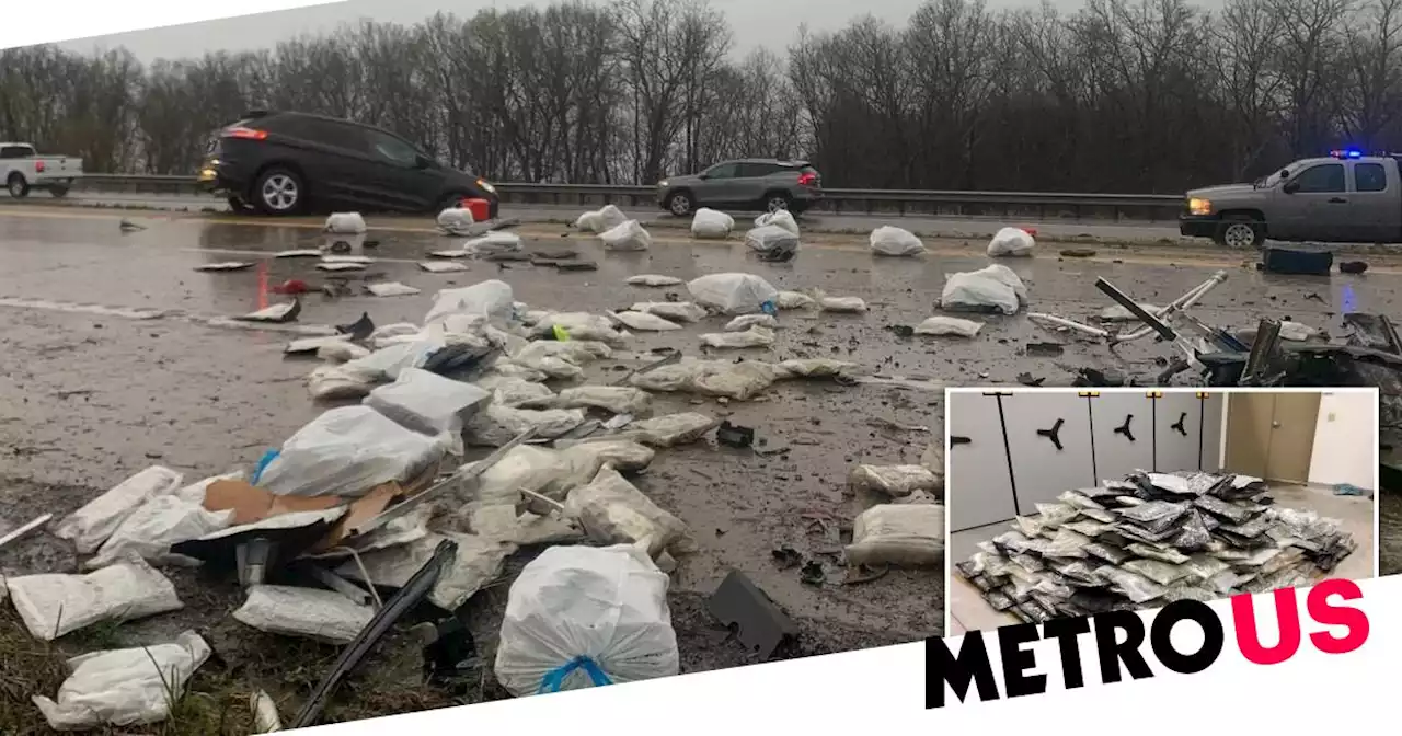 Half a tonne of weed spilled across road on 420 day