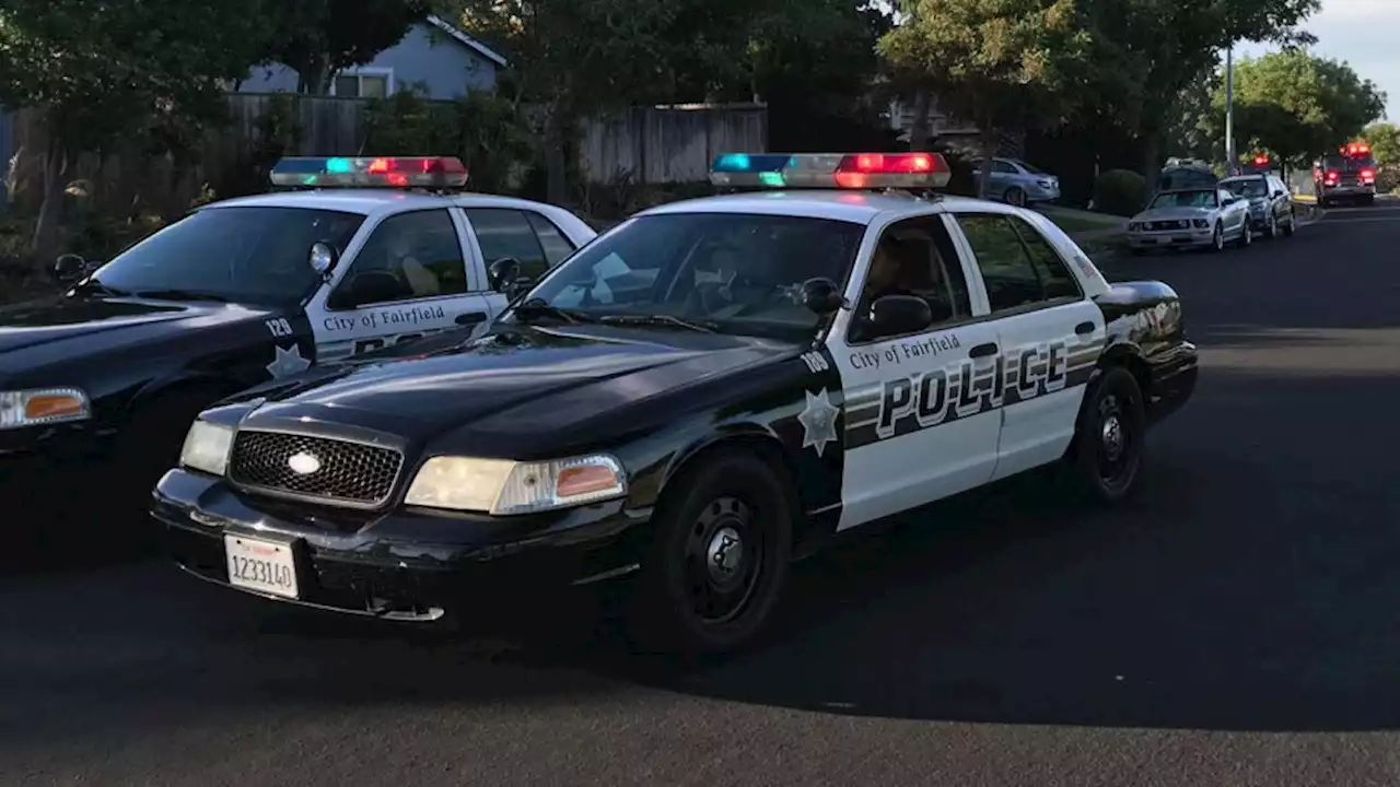 Man Bites, Stabs K9 Dog in Fairfield: Police