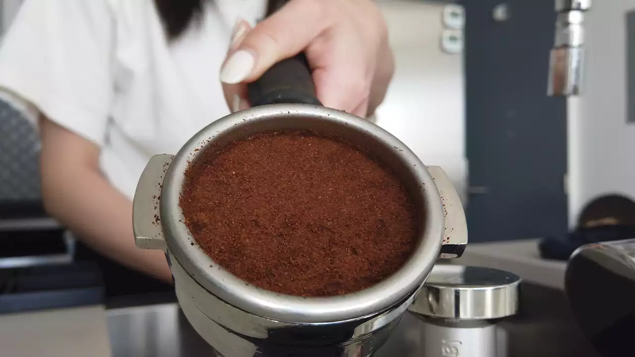 Climate Change May Be Putting Your Daily Coffee Fix at Risk